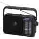 Audio Porttil PANASONIC RF2400DEGK
